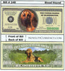 Image of Bloodhound Dog Novelty Currency Bill