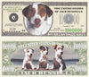 Image of Jack Russell Terrier Dog Novelty Currency Bill