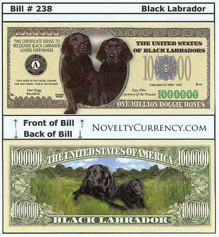Black Labrador Novelty Currency Bill